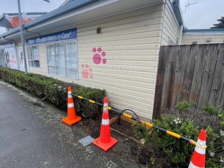 imgi_3_front-450x337